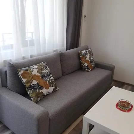 Cozzy Apartment